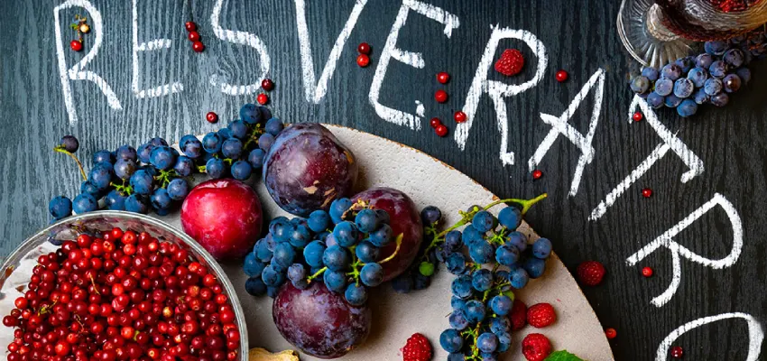 Resveratrol Nedir? Ne İşe Yarar?